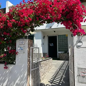 bing-garden-guesthouse.hotels-lisbon-portugal.com/